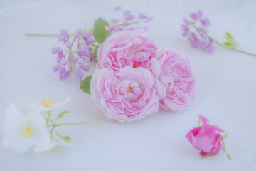 Pink roses, jasmine flowers and lupine flowers on a white background