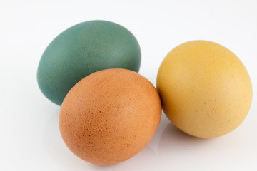 Colored Easter Eggs on White Background