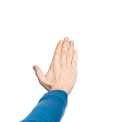 Male hi palm hand gesture, isolated on a white background