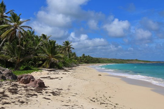 Anse Grosse Roche de loin 1
