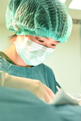 Fototapeta premium veterinarian surgery in operation room