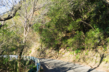Hiking road of Mt. Kanuki