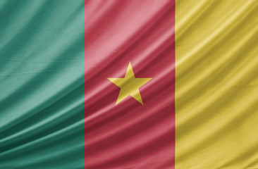 Cameroon national flag background texture