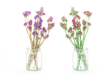 Dried Statice flowers isolated on white background