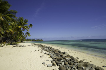 Tropical beach with palmtrees
