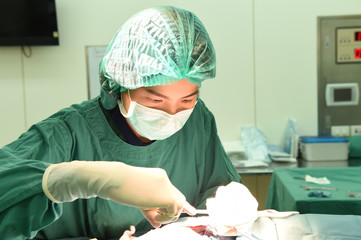 Obraz na płótnie Canvas veterinarian surgery in operation room