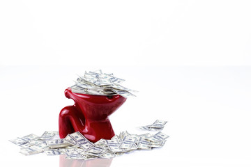 Pile of cash in the toilet