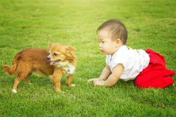 Baby boy play in meadow field with dog.