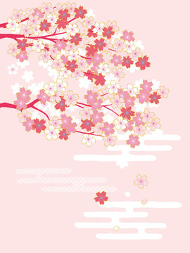 Pink Cherry blossom, sakura flowers . Vector Illustration