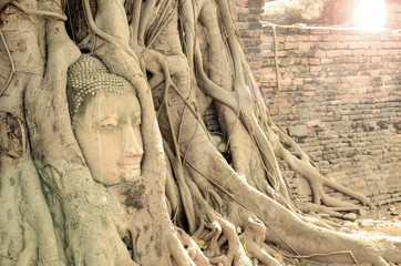 Tourist Attraction, Head of Buddha in Wat Mahathat The Temple of Great Relic of Ayutthaya, Thailand.