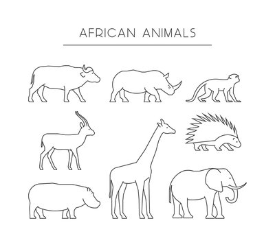 Vector line african animals. Outline icons african animals.