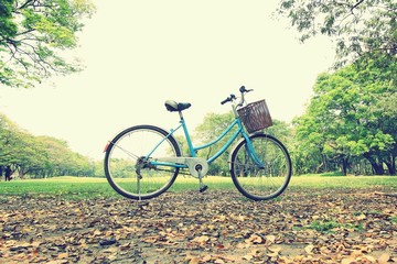 Fototapeta na wymiar bicycle waiting near tree