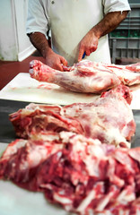 Butcher cutting bloody beef hindquarters