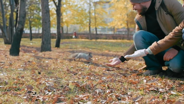 Parents and their little son feeding squirrel in the park from hand