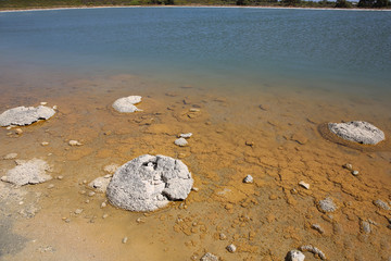 Stromatolithen bei Cervantes. Westaustralien 