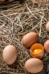Fresh brown eggs