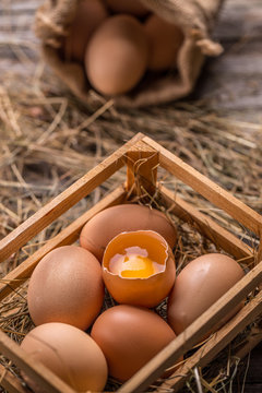 Fresh brown eggs