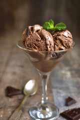 Homemade chocolate ice cream with chocolate chips.