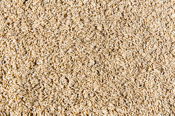 a lot of black beans for background uses