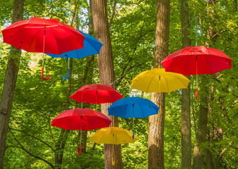 Umbrellas bright colors - red, blue, yellow - on a background of trees in the park