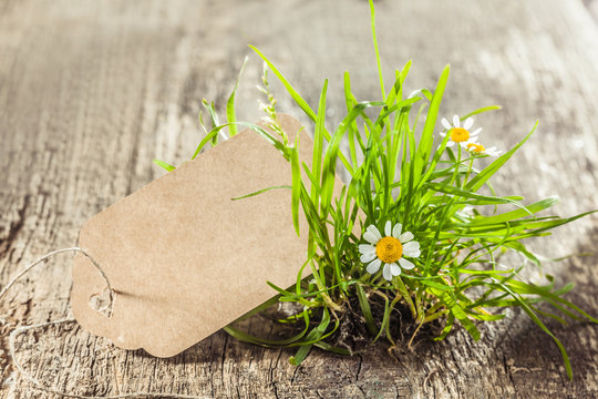 Beautiful Spring sign or tag with grass