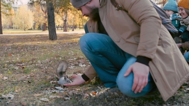 Man feeding little adorable squirrel in the park while his wife and son looking at them and smiling