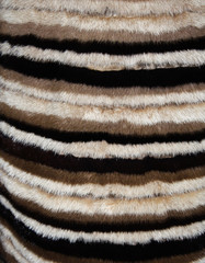 Fototapeta na wymiar Fur is painted of beige, brown and black stripes