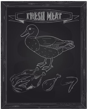 young beautiful duck and fresh meat