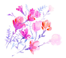 vector watercolors colorful flowers 