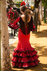 Naklejka premium Flamenco