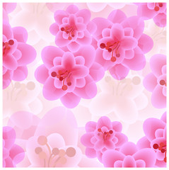 romantic vector background with pink flowers