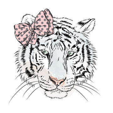 Vector tigress with a bow. Greeting card with a tiger. Girl. Hipster.