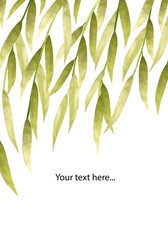 Silver and green hand-painted willow leaves on white background with place for your text - obrazy, fototapety, plakaty