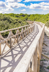 Obraz premium Holz Steg Brücke über Dünen Landschaft