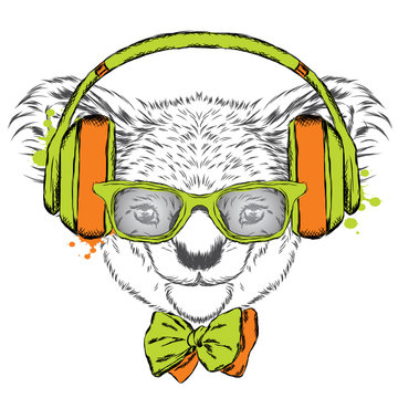 Koala vector. Cute koala on headphones. Hipster. music fan. Music.