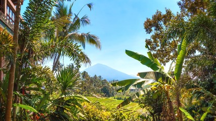 Mont Batukaru vu des champs de riz près de Pupuan, Bali, Indonésie