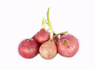 Close up of red onions