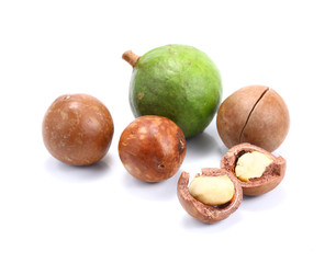 macadamia nuts on white background