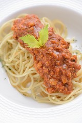 Plate of Spaghetti with marinara sauce