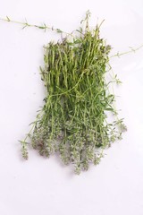Thyme on white background