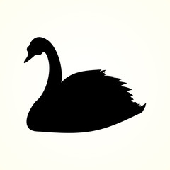 swan