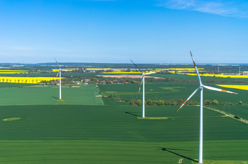 Luftbild von Windenergieanlage in einem Windpark auf grünen Feldern und Rapsfeld in voller Blüte