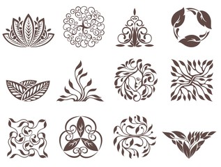 Set of vector simple and elegant logo design templates. Leaves compositions