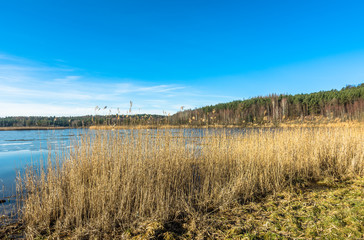 Beautiful lake landscape and forest at spring.