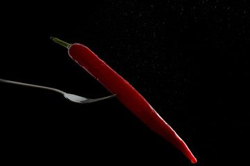 Red Chili spiked on a knife sprinkled with water