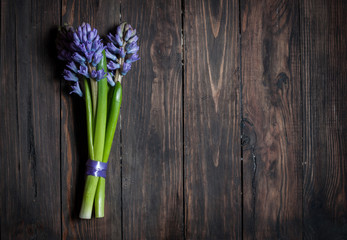 blue striped hyacinth flowers on wooden surface with copy space