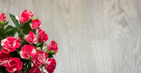 Red roses bouquet with free space for text.
