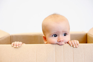 Baby in a carton box