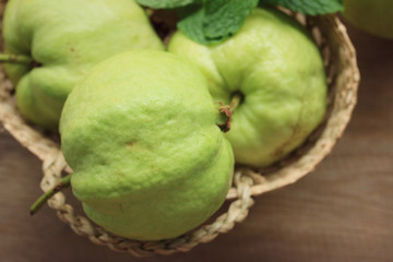 Guava fruit