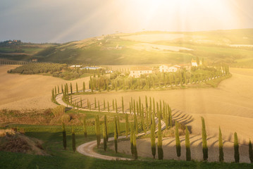Villa in Tuscany with cypress road, idyllic seasonal nature sunny landscape vintage background